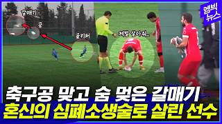 축구하다가 공에 맞은 갈매기 살려준 축구선수