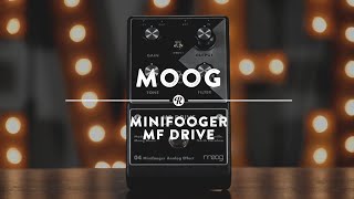 Moog Minifooger MF Drive | Reverb Demo Video
