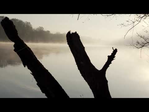 Solo Camping & Fishing - Sava River (Rijeka Sava)