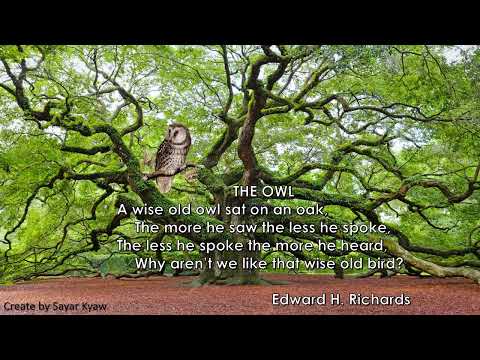 Grade 6 English The Owl (poem 1)