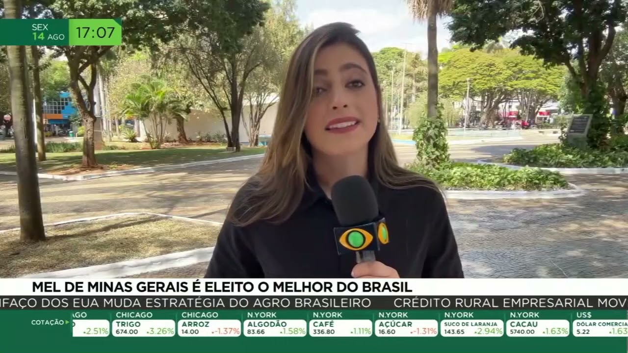 Mel de Minas Gerais é eleito o melhor do Brasil