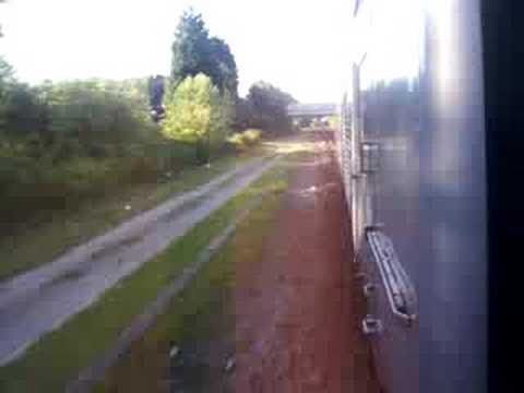 43238 Thrash & accident