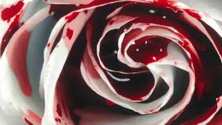Bly By My Music Video