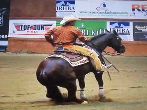 MARCO DE PICCOLI REINER and TRAINER (Istruttore Fise)