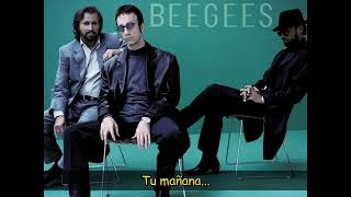 Bee Gees - Just in Case Subtitulado Español