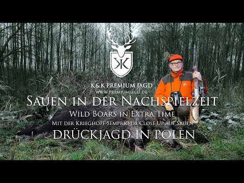 Sauen in der Nachspielzeit - Drückjagd mit der Krieghoff Semprio in Polen