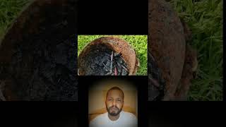 Cabeça de cachorro e facas em uma panela de ferro. #pescamagnetica #pesca #magnetfishing #pescaria