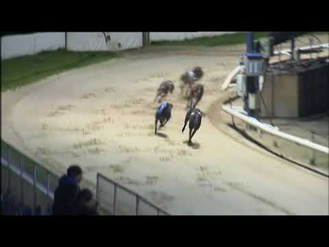 CORAL CHAMPION STAKES HEAT 6 - T4 CASTELL HENRY