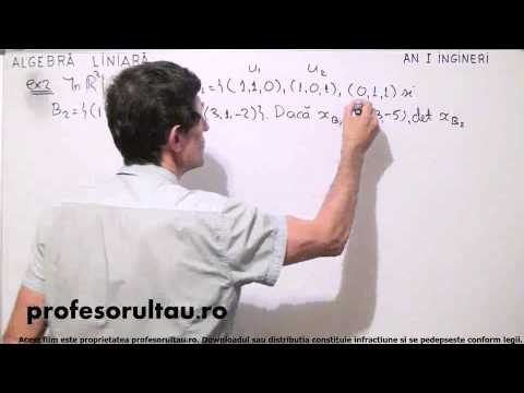 28   Modificarea coordonatelor unui vector la o schimbare de baze   partea 3 - profesorultau.ro