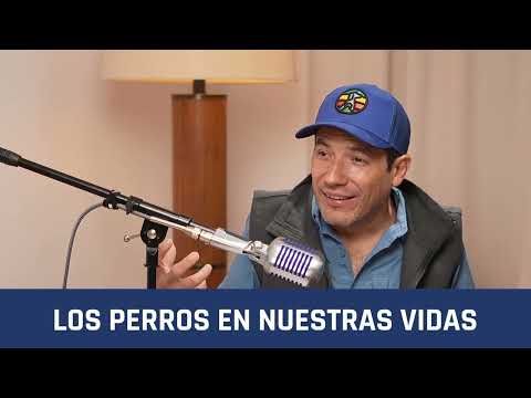 LOS PERROS EN NUESTRAS VIDAS