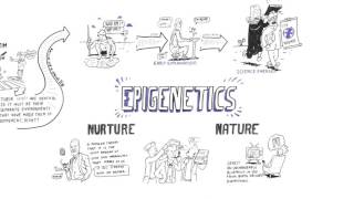 Epigenetics: Nature vs nurture