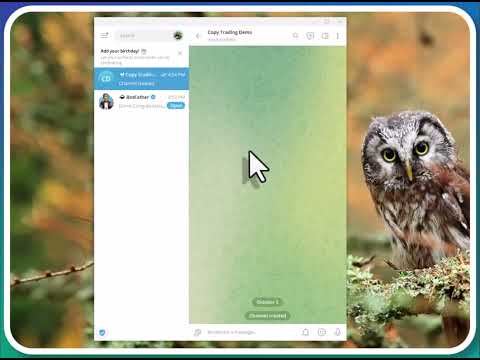 Video Telegram Copy Trade System MT5