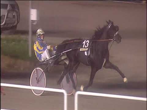 Trotto 26/11/2019 - 8ª corsa - TRIS