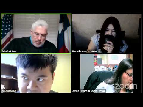 Judge Questions Accused About Plea Deal and Previous Offenses in Court Session