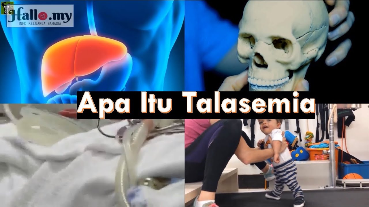 Apa Itu Talasemia dan Pembawa Talasemia / What are Thalassemia and Thalassemia Carriers