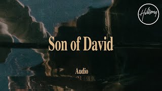 Son Of David (Audio) - Hillsong Worship
