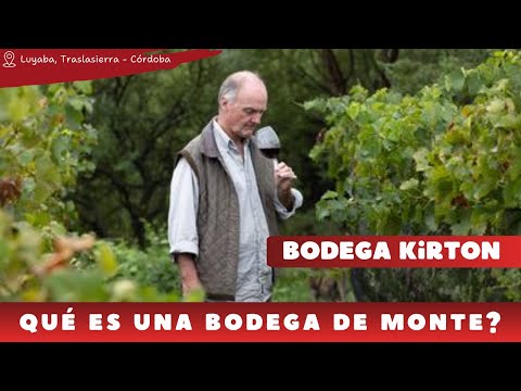 Bodega Kirton: El Vino de Monte que Compite con Mendoza  - Traslasierra - Córdoba
