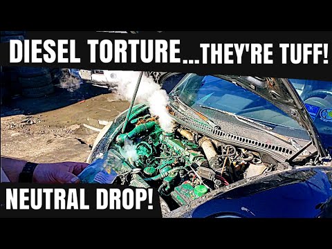 VW Bug Turbo Diesel Was W Tuff SOB! WE'RE BA AAAACK!👊😝Neutral Drop!