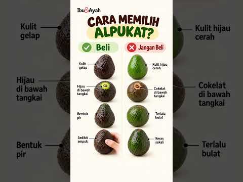 Jangan Salah Pilih, Ini 5 Cara Menemukan Alpukat Matang dan Berkualitas #ibudanayah