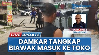 Biawak Masuk Toko Pakaian di Lhokseumawe Bikin Heboh, Tim Damkar Turun Tangan Evakuasi Reptil