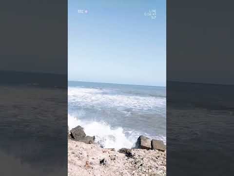 The moment👀🌊.                                     #beach #music #shorts #sea