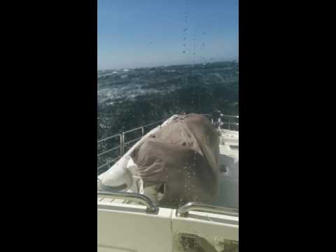 Nordhavn 63 takes heavy seas off Central California's coast.