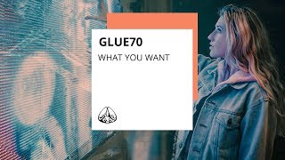 What You Want Music Video