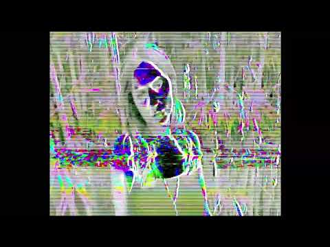 Weird Wolves - I Still Care (Official Video)