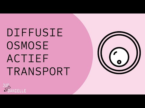 Transport: diffusion, osmosis, active transport