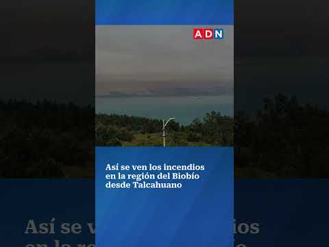 Así se ven los incendios en la región del Biobío desde Talcahuano