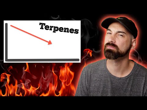 New Study on 60/60 Drying Method Reveals Bro Science??