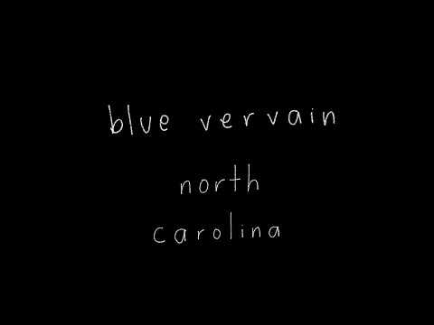 Blue Vervain - North Carolina (Official Lyric Video)