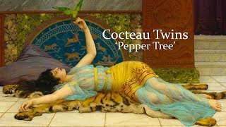 Cocteau Twins &#39;Pepper Tree&#39;