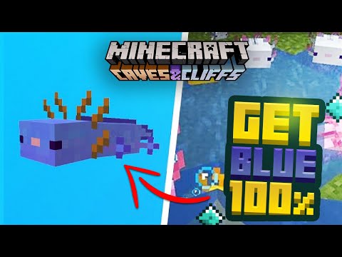 How To Get The Rarest Blue Axolotl 100% Of The Time 1.18 Minecraft Bedrock & Java