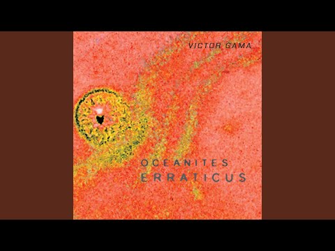 A Máquina De Visão