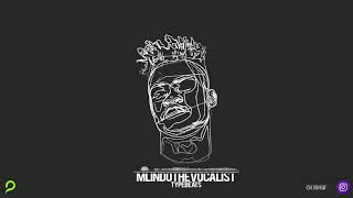 Mlindo The Vocalist Type Beats INDI PLUG By OliBar