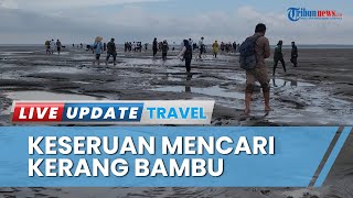 Keseruan Mencari Kerang Bambu di Festival Sumbun, Ada Trik Tertentu yang Tak Mudah Dilakukan