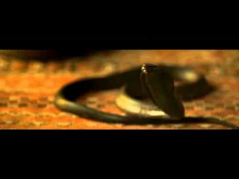 Cia Maritima-2010-11 Collection.flv