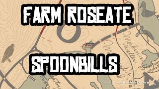 30+ SPOONBILL PLUMES Best Location To Farm! Exotic Mission RDR2