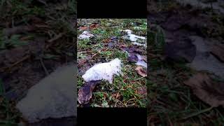 Lied: Winter ade, scheiden tut weh