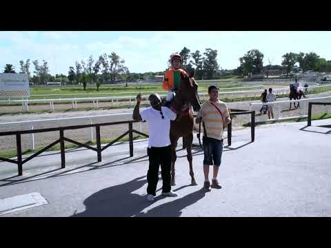 221216 c05 - APACHE CAT (BRZ) - HIPODROMO LAS PIEDRAS - CLÁSICO ENSAYO