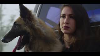 Lucky Rose   Wild One feat  Tep No   1080p