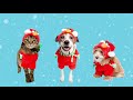 Sesame Street Santa Elmo Costumes By Pet Krewe