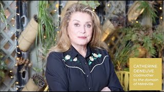 Réhabiliter le pont aux boules d’or du domaine de Méréville