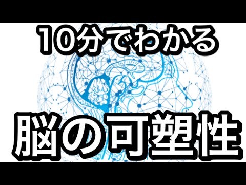 神経可塑性について詳しく解説