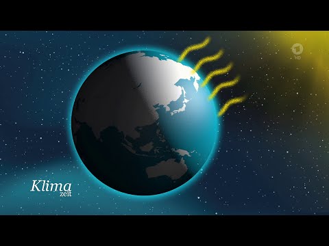 Erhöhte Temperatur: die Folgen globaler Meereserwärmung | KlimaZeit