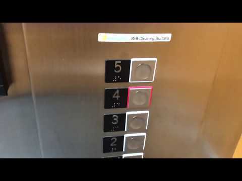 331. 2020 Schindler 3300 XL MRL Traction Elevators at 3800 Glenwood - Raleigh, NC