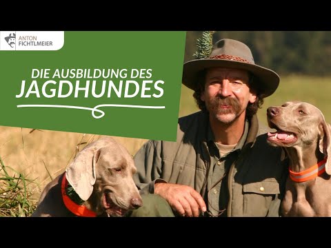 Ausbildung des Jagdhundes | Anton Fichtlmeier