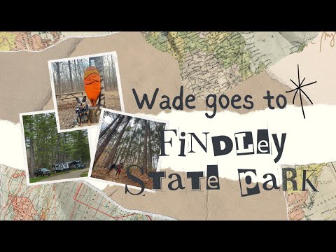 Wade Goes to Findley