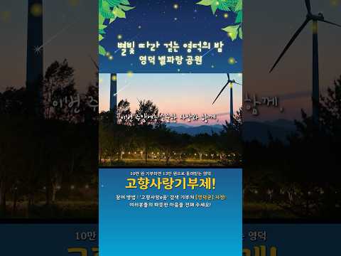 찾았다! 별빛아래 인생 산책길